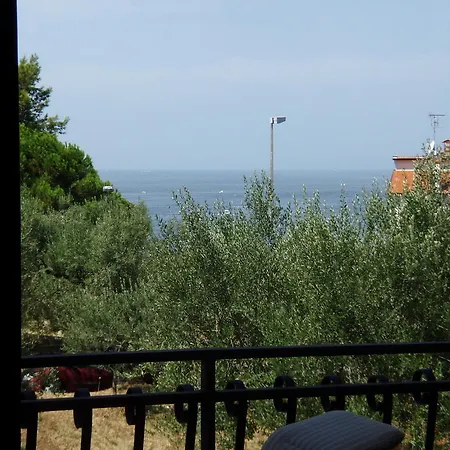 Zohil Rovinj