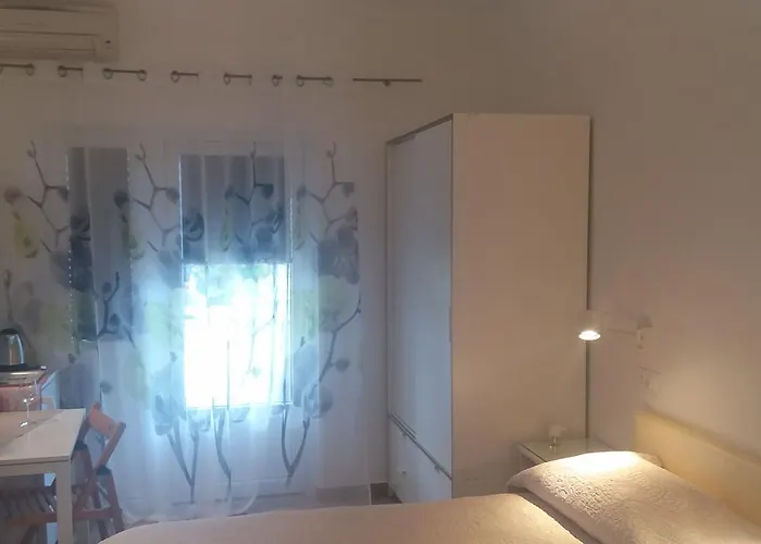 Zohil 罗维尼
